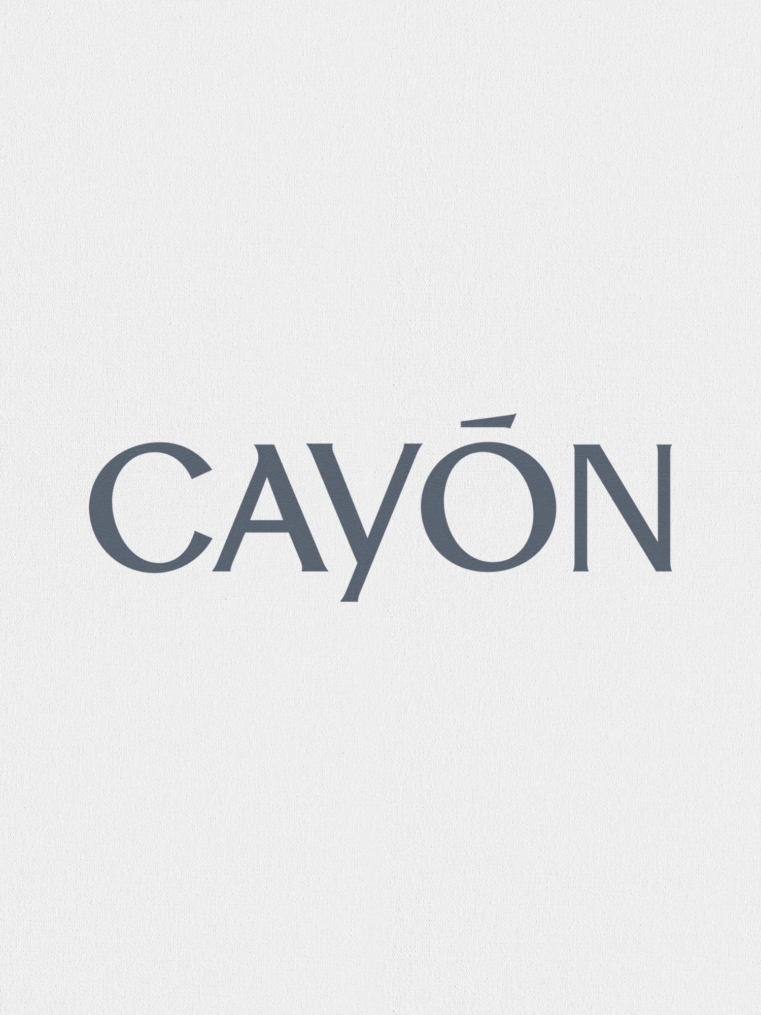 CAYON GALLERY 01