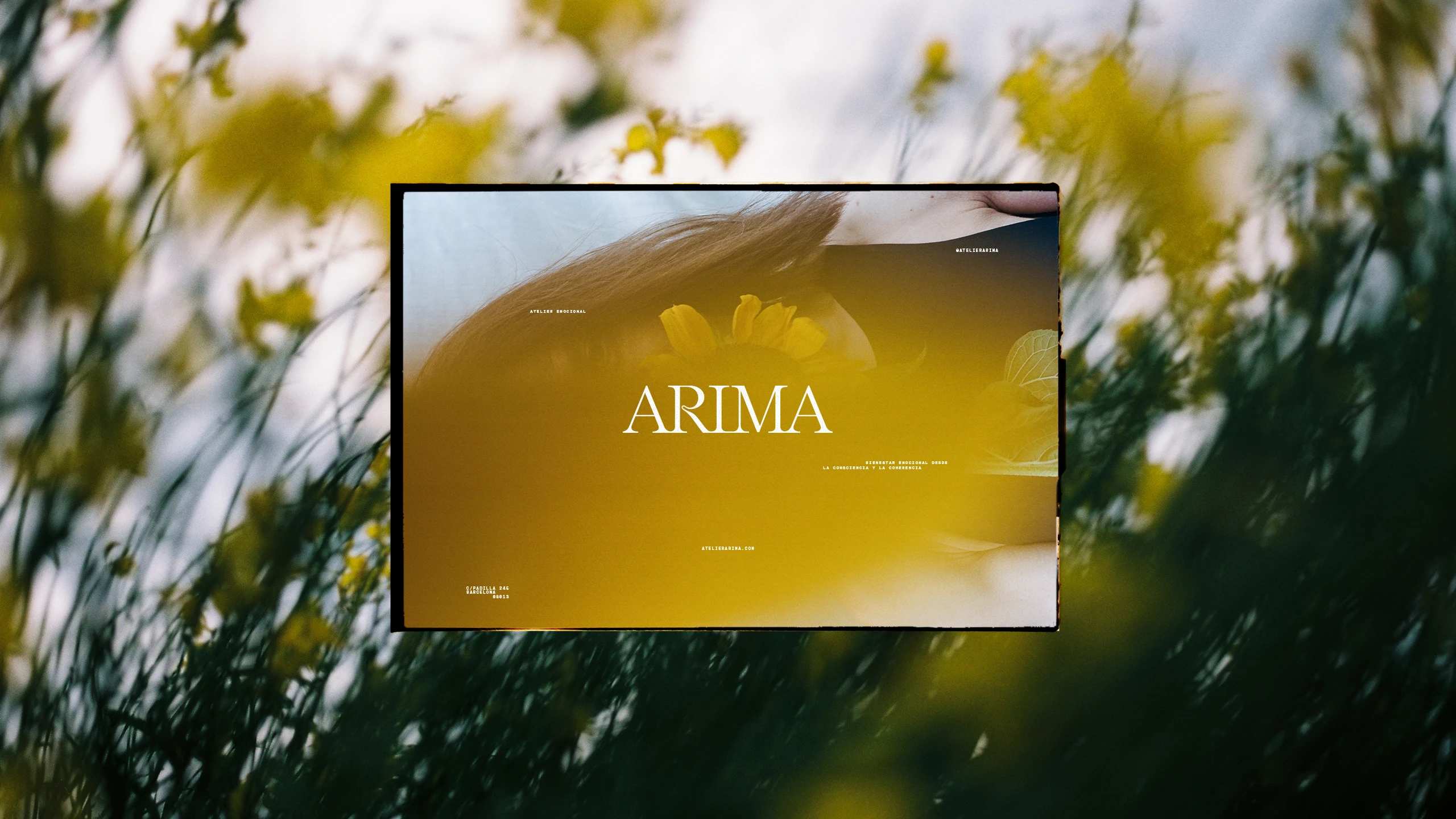 ARIMA 09